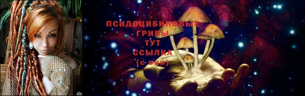 дживик Няндома