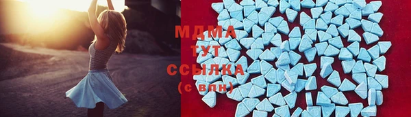 дживик Няндома