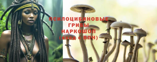 дживик Няндома