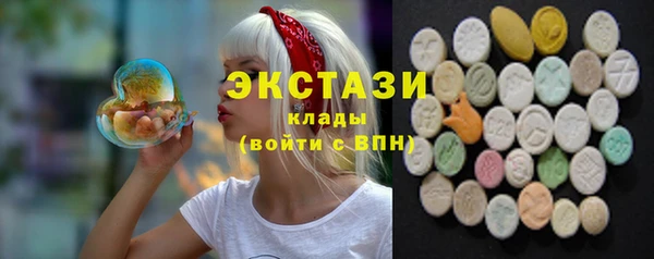 дживик Няндома