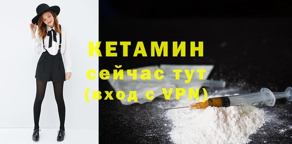 дживик Няндома