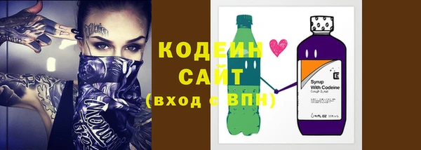 дживик Няндома