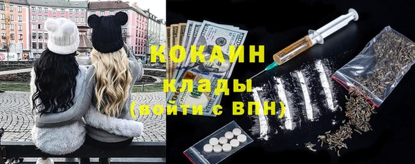 дживик Няндома