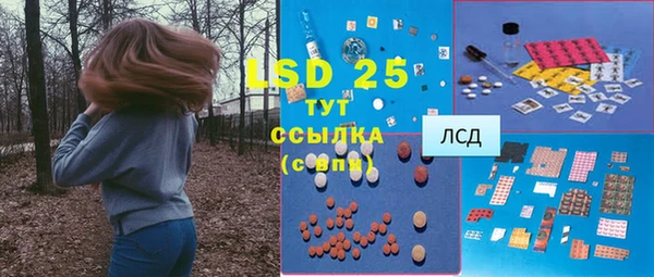 дживик Няндома