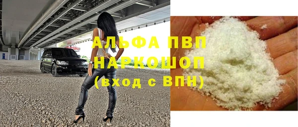 дживик Няндома