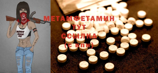 дживик Няндома