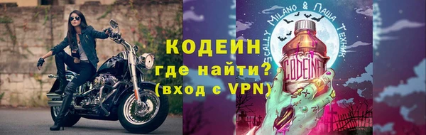 дживик Няндома