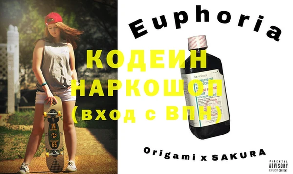 дживик Няндома