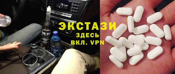 дживик Няндома